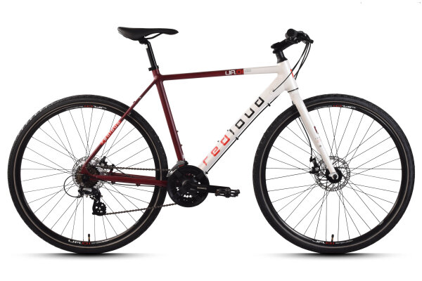 REDLOUD Urbanbike 28 Zoll UA.01 Rahmenhöhe 54 oder 58 cm 21 Gänge mech. Scheibenbremse