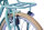 WYNN kids bike 24 inch KID1.0 turquoise frame size 38 cm 6 gears V-brake