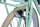 WYNN kids bike 24 inch KID1.0 frame size 38 cm 6 gears V-brake