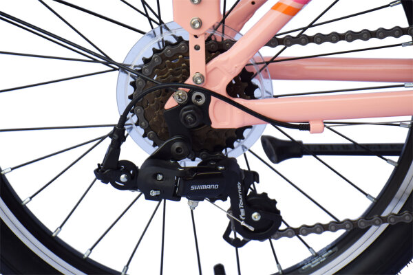TRiNiDAD 【KID Steel】 CHILLIZ children's bike 20 inch CHD.02 frame height 33 cm 6 gears