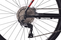 REDLOUD Gravelbike 28 Zoll GA.04 grau Carbongabel 11...